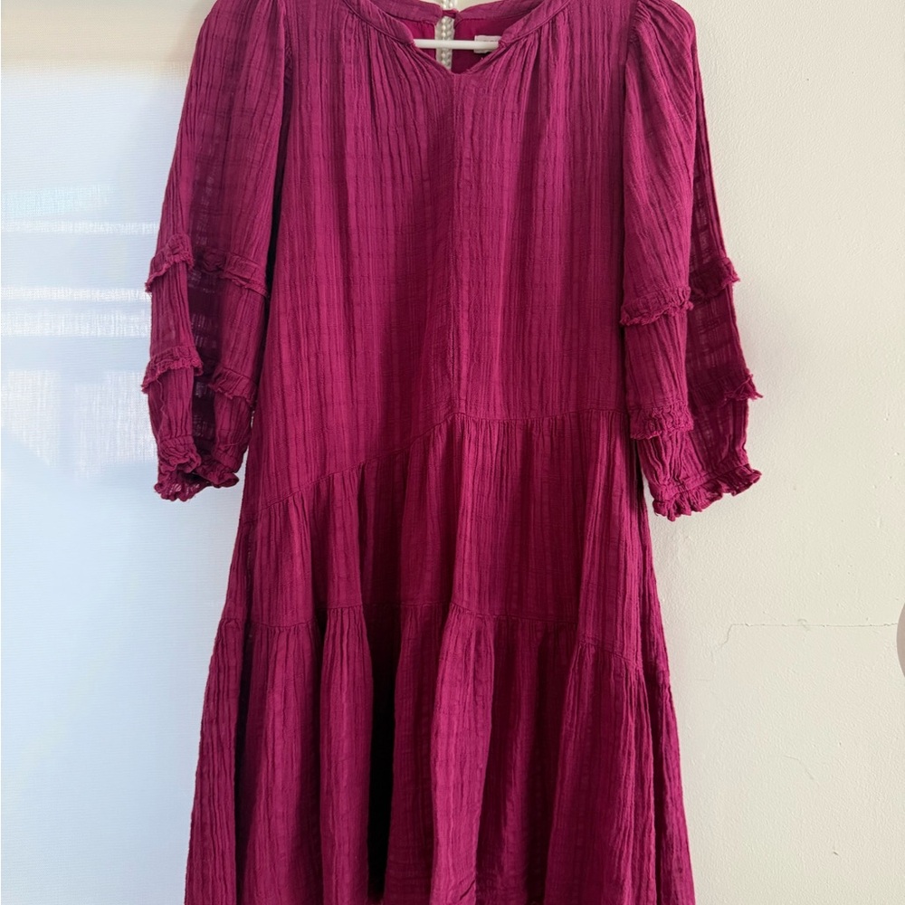 Zara Kids Magenta Ruffle Dress